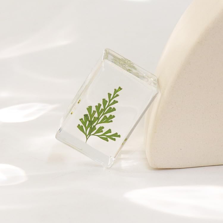 12pcs Dried Green Plant Flower Drip Gel Specimen, Children's Hobby Science Education Products, Microscope Observed Green Leaf Specimen - Image 4
