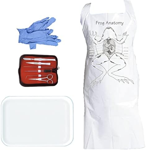 Anatomy Lab Dissection Kit with Scalpel Dissecting Tools PPE for Anatomy Biology Students, Small Tray by TheAnatomyLab