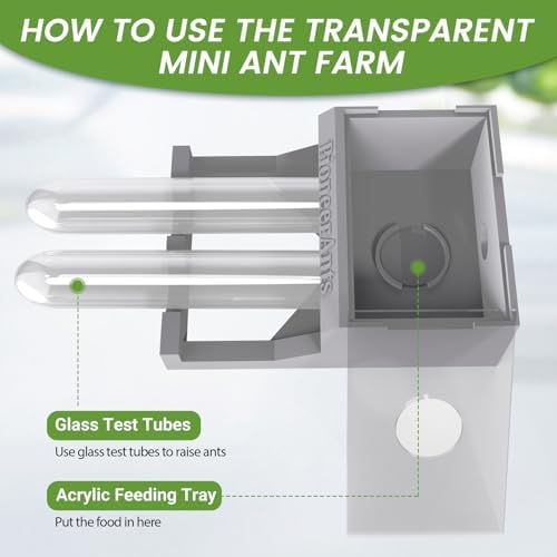Transparent Mini Ant Farm with Dual Test Tubes for Thriving Ant Colony Observation (Gray) - Image 3