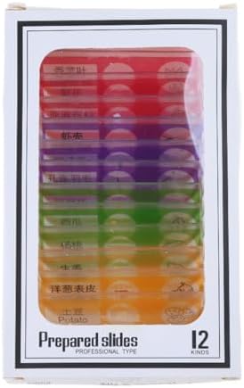 12pcs for Stereo Microscopes Kids Prepared Microscope Slides of Animals Flowers Sample Specimens - Image 7
