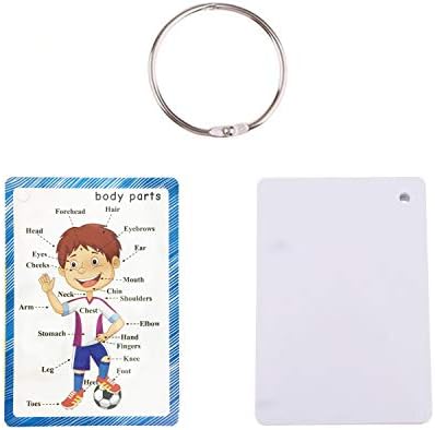 SANTSUN Body Parts Flashcards - Educational Learning Word Card for Class - Image 2