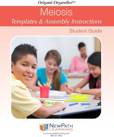 NewPath Meiosis 3-D Paper Model Making Kit, Set/5 Full-Color, Paper Model Templates & Teachers Guide (24-7741) - Image 4