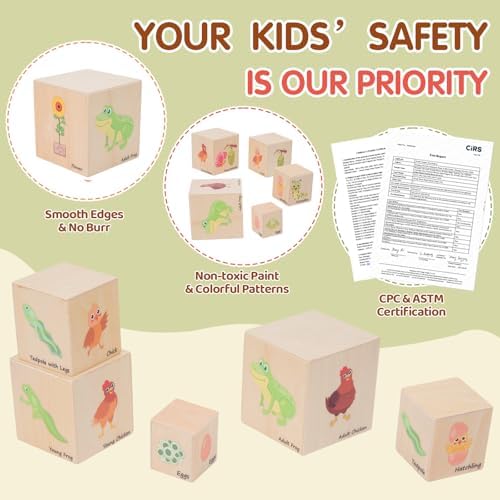 Wooden Life Cycle Nesting Blocks, Montessori Preschool Learning Toy - Image 6