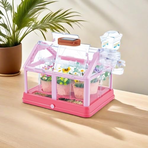 EXBEPE Kids Plant Growing Kit Greenhouse Growing Set Terrarium Kit Kids Science Educational DIY Plant Gardening Toy, Living Greenhouse with Solar Panel, Indoor Gardening Kit - Image 5