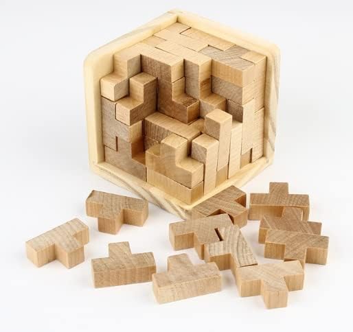 Wooden Brain Teaser Puzzles Box Brain Teasers Wooden Puzzle T-Shaped Geometric Intellectual Jigsaw Logic Cube Puzzles Mind Games for Kids and Adults by SHUYUE