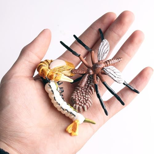 Life Cycleinsects Toys - 6Pcs Educational Figurine Set Ladyybuges - Image 5