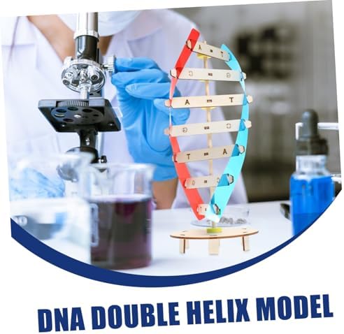 DNA Double Helix Model DIY Science Teaching Prop for Kids Students - Image 3