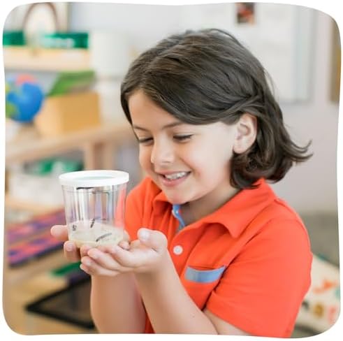 Insect Lore Cup of Caterpillars Basic – 5 Live Painted Lady Caterpillars with Food – Refill Kit for Butterfly Garden Habitat – STEM Science Activity for Kids & Classrooms - Image 3