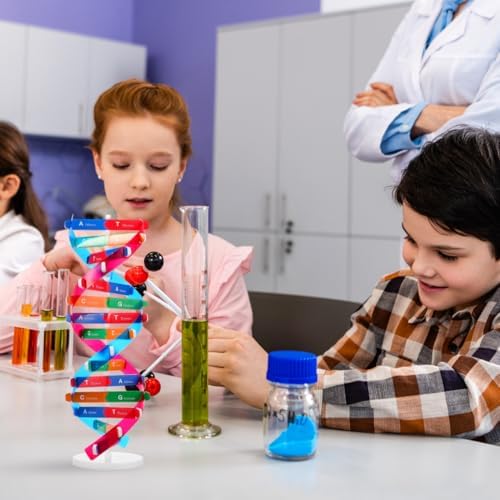 VICASKY DNA Kit Self Double Helix Structure Model 33 x 11.6cm DIY Generic Molecular Model Kit Large-Scale Biological Structure Human Genes Components Science Educational Teaching Tool - Image 5