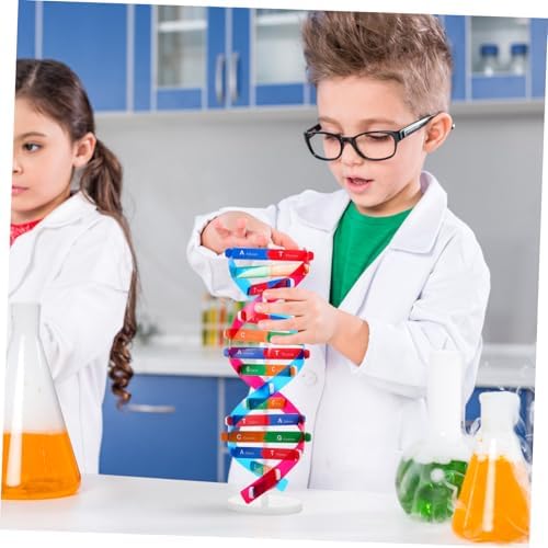 Kisangel DNA Kit Self Double Helix Model Kit Assembling DNA Display Stand Human Genes Learning Toy Biological Teaching Aid Science Molecular Model Kit - Image 6
