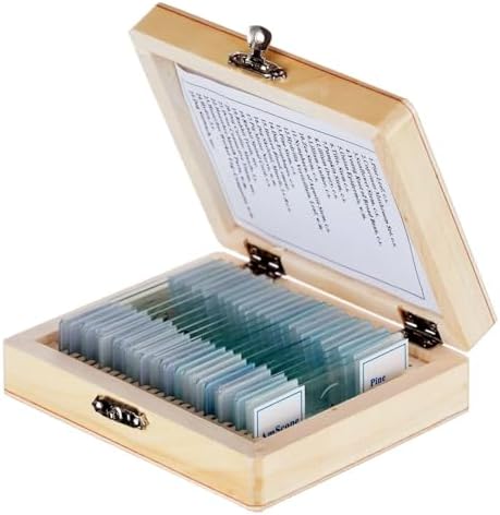 AmScope PS25 Prepared Microscope Slide Set for Basic Biological Science Education, 25 Slides, Includes Fitted Wooden Case Brown - Image 2