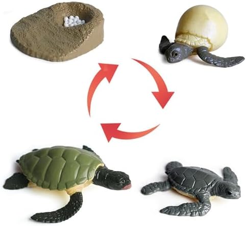 Life Cycleinsects Toys - 6Pcs Educational Figurine Set Ladyybuges - Image 6