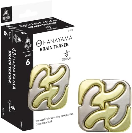 BePuzzled | Square Hanayama Metal Brainteaser Puzzle Mensa Rated Level 6, for Ages 12 and Up by BePuzzled