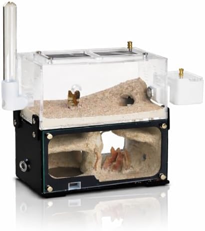 Strata Series - DualView M Ant Nest with Starter kit by RimsuntaAnt
