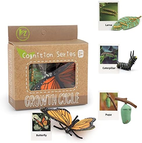 Montessori Life Cycle Animal Figures with Flash Cards, Plastic Insects Monarch Butterfly Kit Caterpillar Toy for Kids, Realistic Animal Figurines (Butterfly) - Image 5