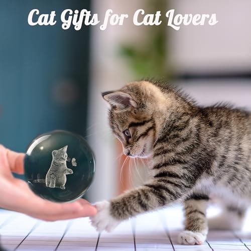IFOLAINA 3D Cat Themed Gifts for Women 3D Crystal Ball Decor - Image 4