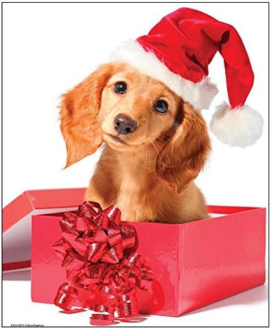 EuroGraphics Holiday Puppy Mini Puzzle (100 Piece) by EuroGraphics