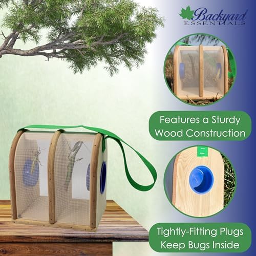 Wooden Bug Box - Dual Chamber Insect Habitat - Image 2