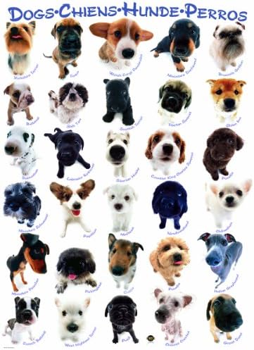 EuroGraphics Dogs Puzzle (300-Piece) - Image 2