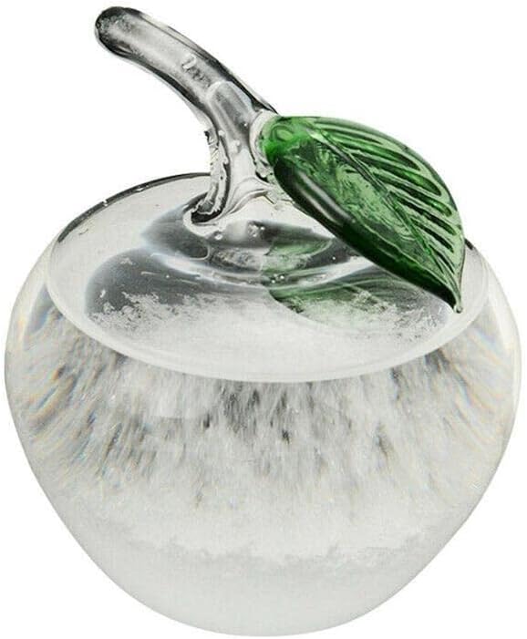 Mini Storm Glass Weather Forecaster, Water Drop Weather Predictor, Barometer Bottle, Drop-Shaped Glass Barometer, Home and Office Decorative Glass Bottles by Hovico