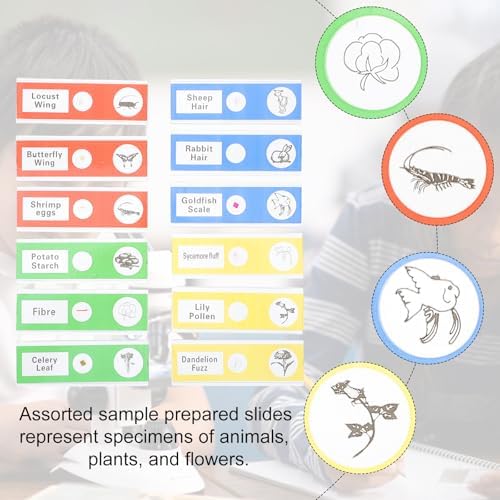 36pcs Prepared Microscope Slides for Boys and Girls Basic Biology Education - Image 5