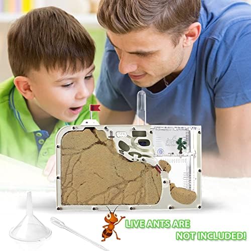 ELNMLHT Ant Farm Castle, Ant Farms with Yellow Sand and Tool Kit, Ant Colony Observation Kit, Ant Viewing Habitat Science Kit, Educational & Learning Science Kit for Kids, Adults, Student (Ant Farm B) - Image 6