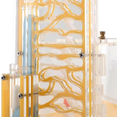 ANT Housing Nest Habitat Transparent Acrylic with Feeder ANT Farm Display Box for Gift Lovers Birthday Decor Children's Day, Yellow - Image 3