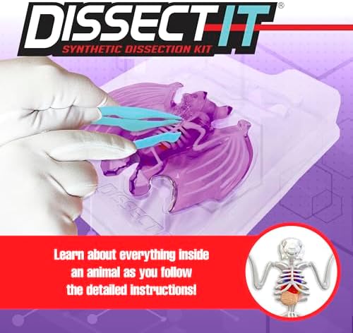 Dissect-It, Bat Dissection Kit, STEM Toys for Kids, Ages 6+ - Image 3