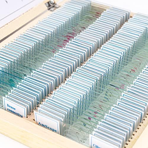 AmScope PS100A Prepared Microscope Slide Set, 100 Slides Set A - Image 2