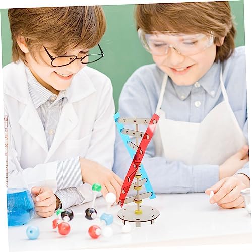 Gene DNA Double Helix Model Wood Plastic Science Teaching Aid - Image 4