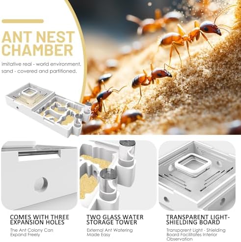 Ant Nest Farm for Live Ants and Queen - Ant Colony Observation Ant Farms with Yellow Sand Transparent Ant Farm for Adults 3D Printed Nest Ant Workshop Castle Ant Garden Queen (Kit-C) - Image 4