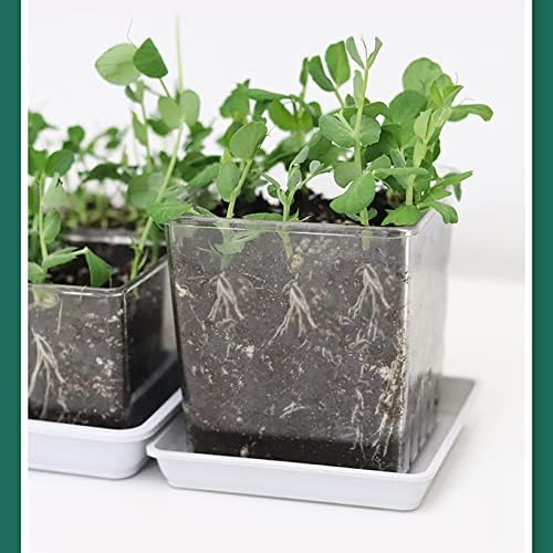 Plant Pots Indoor for Indoor, Children's Plant Growth Observation, Small Potted Plants with Transparent Roots, Vegetable Toy Set - Image 5