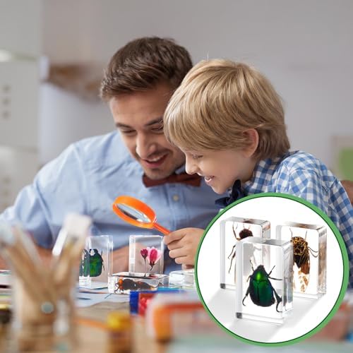 Lineshading 70 Pcs Resin Insects Specimen with 7 Magnifier for Kids Science - Image 5