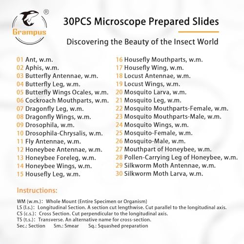 30 Prepared Microscope Slides with Specimens for Kids Students - Insects, for Biological Science Lab, Children's Science Education, Homeschooling Use - Image 5