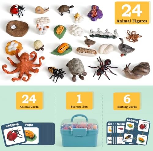 Life Cycle Toys for Kids - Life Science Education Kits: Ladybug, Ants, Goose, Land Turtle, Snail, Octopus - 24 Pieces Animal Models STEM Learning Toys for 3-10 Year Old - Image 2
