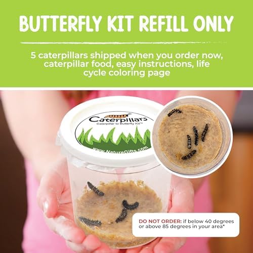 5 Live Caterpillars for Butterfly Kits, Painted Lady Refill with Food - Image 3