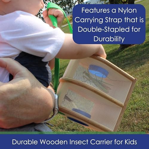 Wooden Bug Box - Dual Chamber Insect Habitat - Image 3