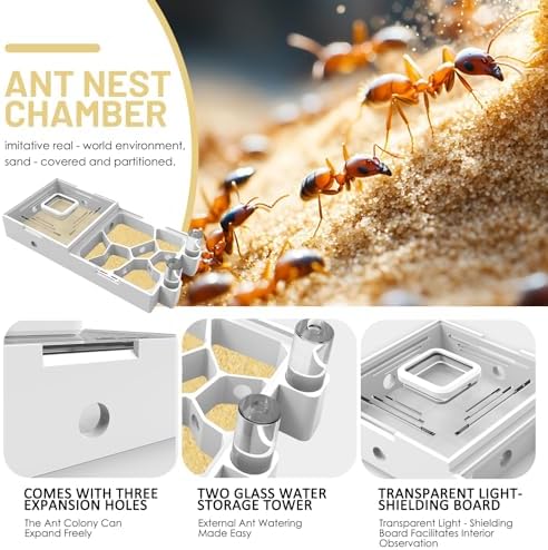 Nest Farm for Live Ants and Queen - Ant Farms with Yellow Sand Observation Transparent Ant Farm for Adults 3D Printed Nest Ant Workshop Castle Ant Garden Queen (Kit-A) - Image 4