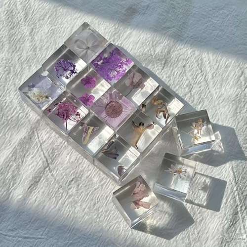 12pcs Plant Specimens,Resin Squares, Decorations,Children's Science Education Supplies,Drip-Dried Resin Flower Specimens,Real Flower Specimens for Microscope (Colorful) - Image 7