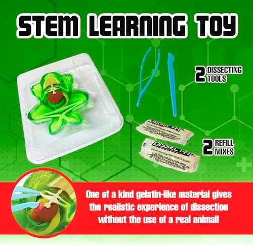 Dissect-It, Standard Frog Dissection Kit, STEM Toys for Kids, Ages 6+ - Image 3