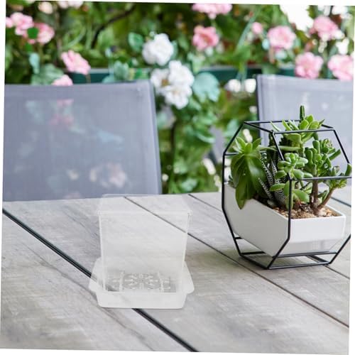 Yardwe 1set Clear Plant Pots with Drainage Holes Transparent Hydroponic for Boys and Girls Educational Gardening Tool for Root Observation and Plant Growth - Image 6
