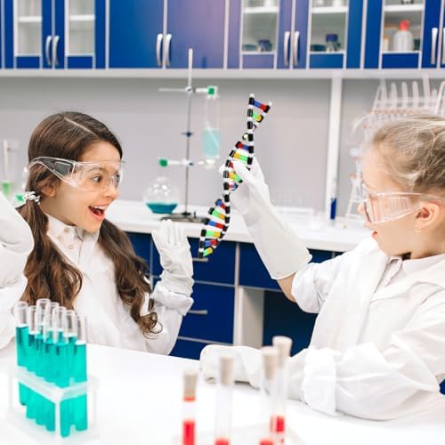 ibasenice DNA Model Double Helix Model for Science Class Molecular Kit for Students Biology Classroom Supplies Science Models for Classroom Display 15.74 X 2.24 X 0.78 in - Image 6