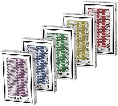 60pcs Plastic Prepared Microscope Slides by cainda