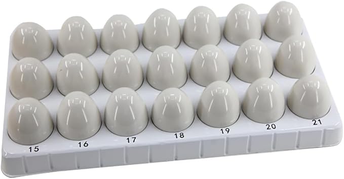 Chick Life Cycle Exploration Set Biological Teaching Model Chick Embryo Growth Model Hatching Development Process Biological Teaching Model