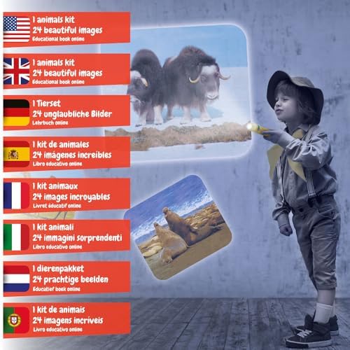 Science4you Animal Torch Projector for Children 4+ Years, Projector Torch for Kids + 24 Images and Poster Included, Educational Gift for Kids Age 4+ - Image 2