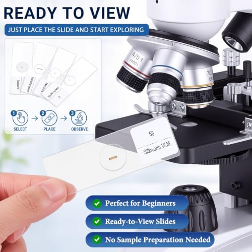 Tellegloww 60 Pcs Prepared Microscope Slides with Specimens for Kids - Image 4