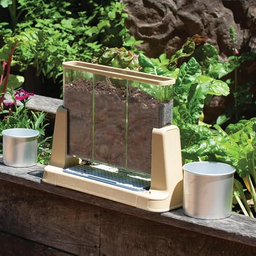 Kaplan Early Learning Company Explore and Discover 3-Section Root View Planter - Image 4