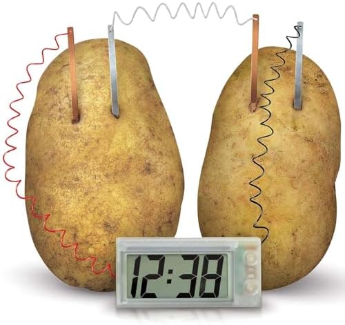 4M: Green Science: Potato Clock - DIY & Experience Battery-Free Renewable Energy, Power A Digital Clock, STEM Learning Craft Activity Kit, Kids Age 5+ - Image 4