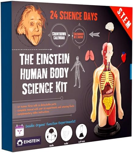 2026 Einstein Human Body Science Advent Calendar. Includes Original STEM Experiments, a 12-inch Model with 16 Detachable Organs, a Printed Guide and factbook, Plus Daily Step-by-Step Videos by THEPURPLECOWADVENTCALENDAR