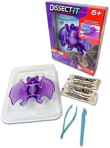 Dissect-It, Bat Dissection Kit, STEM Toys for Kids, Ages 6+ by TopSecretToys